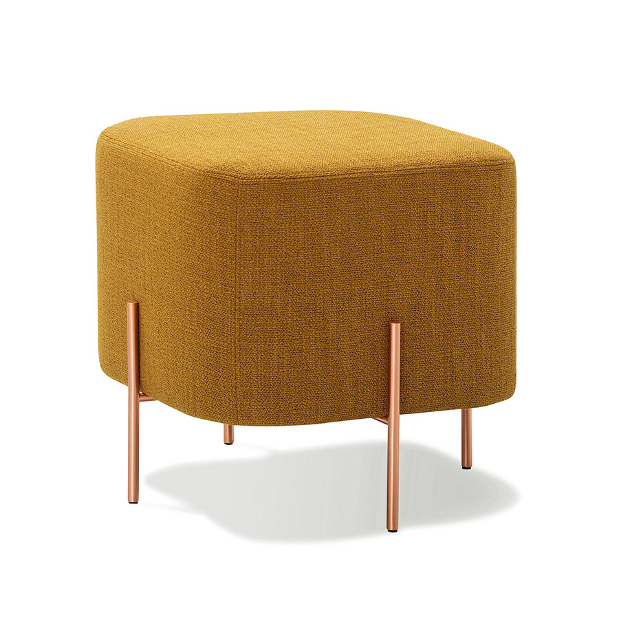 SANCAL-ELEPHANT-1